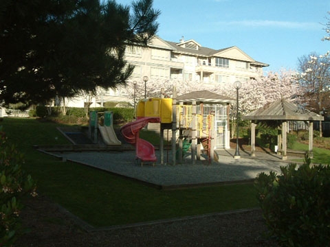 3489 Ascot Place, Collingwood - Image